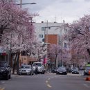 필운대로 이미지