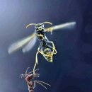 터닝포인트 이미지