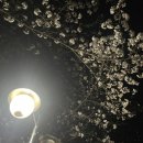 시티홀카프라자 | 나홀로 첫 혼여행 대만편: 1일차(타이베이➡️가오슝)