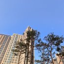 봉담중흥온리원부동산공인중개사사무소 | 봉담아파트 봉담대박부동산, 신뢰와 전문성의 결정판