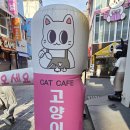 냥이 싸롱 이미지