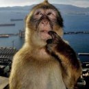 대경프라자(탑빌딩) | 땡큐쏘머취