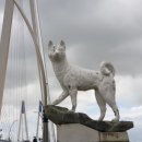 효도 권장비 이미지