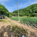 김삿갓면-6 이미지