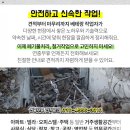 재종목장 네이버블로그