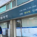 피알리아