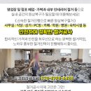 립스모텔 이미지