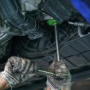 미주자동차나라 이미지