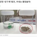 꼬추 이미지