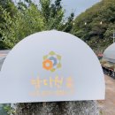 다원곤충농장 이미지