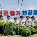 바른나무유치원