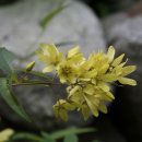 김삿갓어둔골 이미지