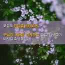 하늘보라2 이미지