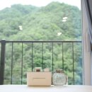 인제내린천 자작나무숲 겨울이네펜션 이미지