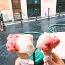 비올레띠 이미지