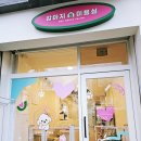 강아지집 미용실 이미지