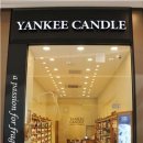 스타무역 이미지