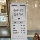 수인래쉬 이미지