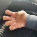 오신데렐라네일