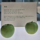원주 1박2일 여행 2DAY [뮤지엄산, 복숭아불고기]