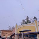 D00007 | [D-7 캐나다 출국 준비] 에어캐나다 캐리어 쌤소나이트 28인치, 26인치 구매후기