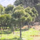 성권농장 이미지