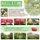 배길동농장 Daum카페