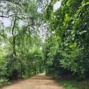 수달생태공원 화장실 이미지