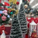 대전판암 다이소 이미지