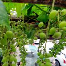 중흥2동 행정복지센터 앞 이미지