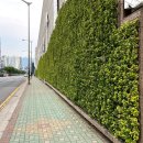 성원칼국수 이미지