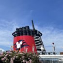 리치펄슨 이미지