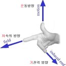 플레밍의 오른손 법칙(Right-Hand Rule) : 왼손바닥 법칙 이미지