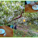 가정 농촌체험 휴양마을 이미지