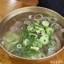 하동관 | 하동관 코엑스몰 곰탕 내돈내산 솔직후기