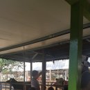 용준목장 이미지