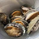 차니카 | 가평 한적하고 깨끗한 풀카라반추천 가평글램핑 가평원더풀카라반&amp;글램핑