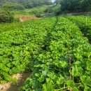 소라면주민센터 이미지