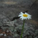 정자가든식당 이미지