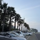주)탐라렌트카주 | 부모님과 함께 바다뷰 감성호텔, 탐라스테이 호텔 후기 - 제주도 애월 숙소 2박3일