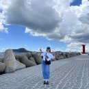 우도에 가면 | 제주 우도 여행｜성산항에서 우도항 가는 법과 우도버스투어 후기