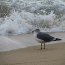 중앙파출소 | 축제에 물든 속초투어 당일치기 여행 후기