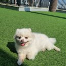 팽성유치원 이미지