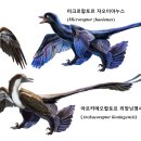 화석 2002 티스토리