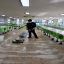 온양고등학교 이미지