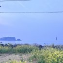 블란디야 이미지