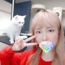 BJ마케팅 이미지