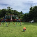 제주아이니 이미지