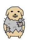 짐나빌레라 | 260403 희노애락이 담긴 켄 솔로 콘서트 엑스칼라 좌석별 시야 사순별 후기