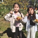 무월마을 | 여행스케치(마을홍보기사)_담양 무월마을